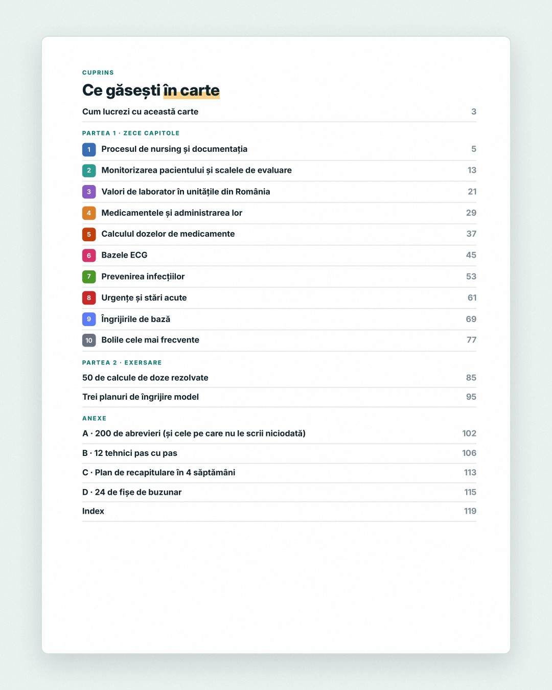 Fițuica de Nursing · 1